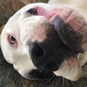 Meet your Posher, Kristi